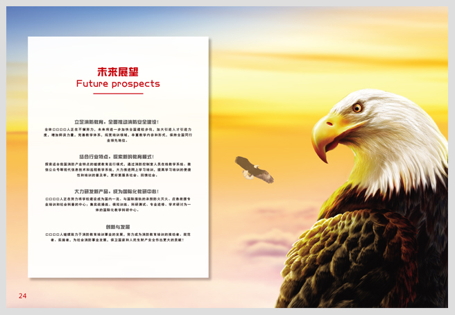 画册定制-蚂蚁印